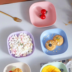 Unbreakable 10-Piece Luxury Split Bone Dish Set with Space-Saving Organizer Holder – Multi-Color Portable Serving Plates